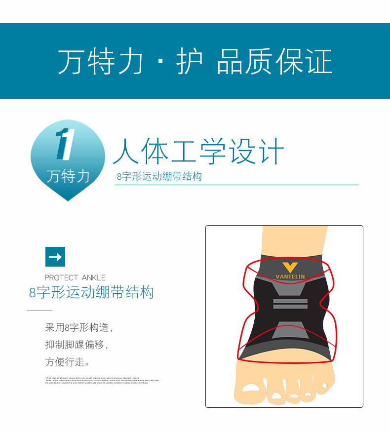 Лодыжка 790_11.jpg