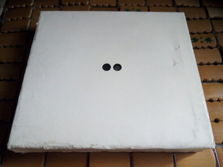 LUNA SEA THE FINAL ACT TOKYO DOME DVD (Japanese version of two sets)