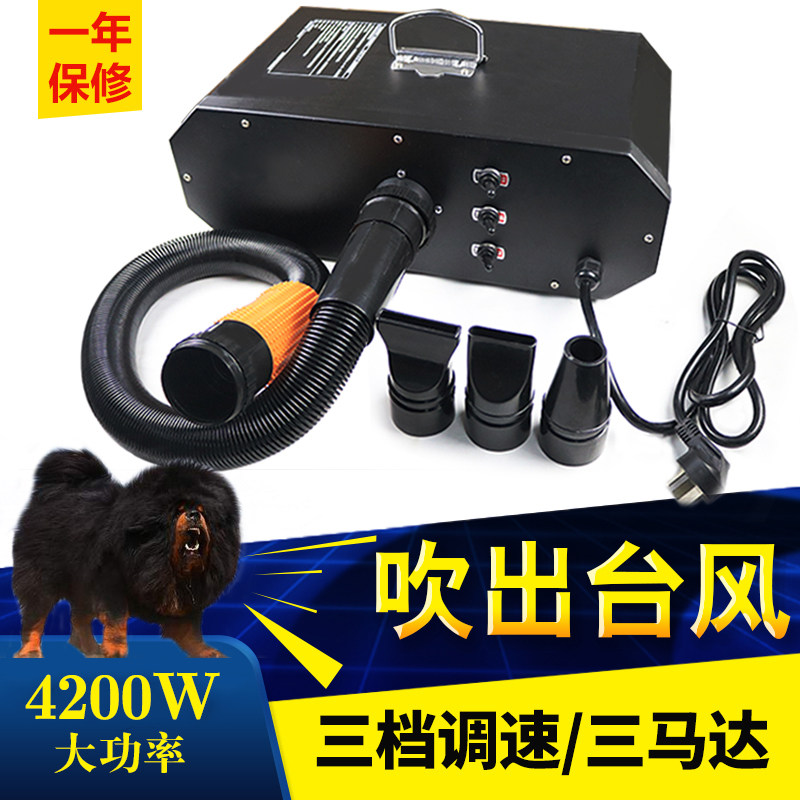Three motor pet water blower 4200w big wind large dog Tibetan mastiff mute dog hair blower pet shop professional
