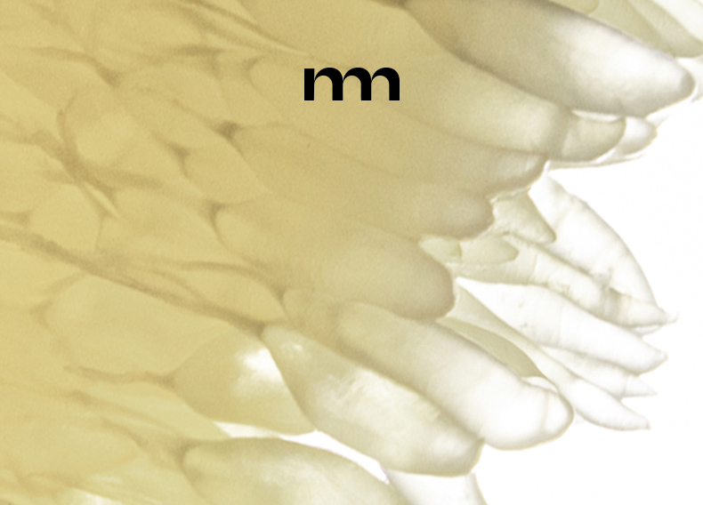 O1CN01nPMgmb2JMv8J6AoeP_!!4058459408.jpg