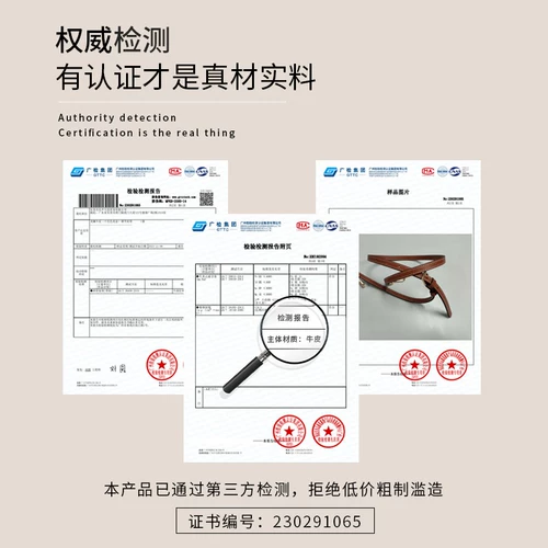 龙骧浆果紫mini包肩带改造longchamp珑骧迷你饺子包斜挎包带配件