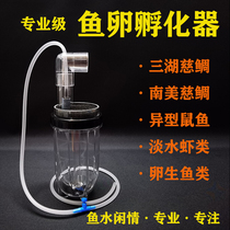 Sanhu cichlid fish egg incubator South American shaped benthic mouse fish ornamental fish shrimp acrylic round bottom refined