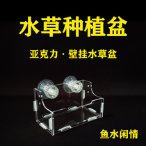 Fish tank acrylic water grass planting cup water grass landscape planting pot suction cup planting device breathable polka Cup decoration