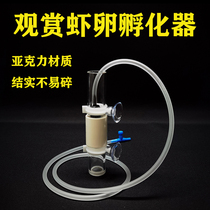 Ornamental shrimp crystal shrimp fertilized egg artificial incubator rice shrimp Su shrimp small fish ornamental fish egg pneumatic incubator