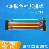 Copper Core DuPont Line 2 54 Gong to Mother 40P 12 Core Lottery Line 20CM Black Terminal Pin DuPont Line