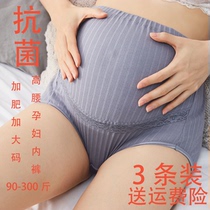Pregnant women underwear cotton plus size 200 Jin 300 shorts in late pregnancy summer antibacterial crotch loose high waist fat mm
