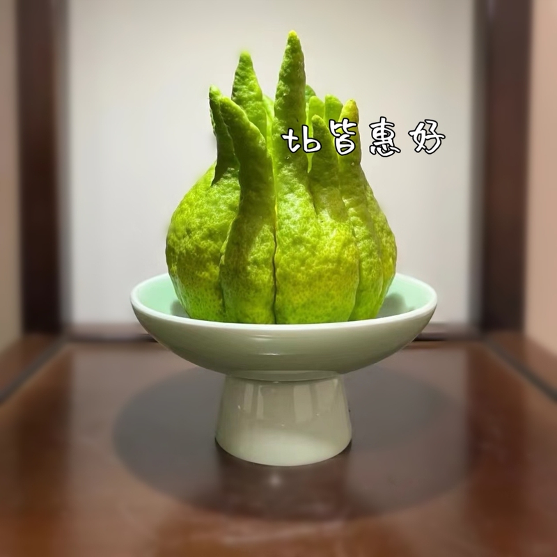 Bergamot Vase, Vessel, Tray, Chinese-Style Retro Display, Decorative Plate, Ornamental Bergamot Tray, Flower Pot, Container, Plate