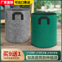 High-style flower pot large non-woven seed beauty planting bag high cylinder thickened deep root part Galli basin balcony planted top seed dish