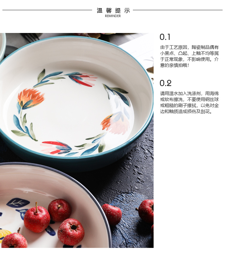 Shed in the four seasons under glaze color porcelain tableware household dish dish dish soup bowl bowl rainbow such as bowl of fruit salad bowl dishes