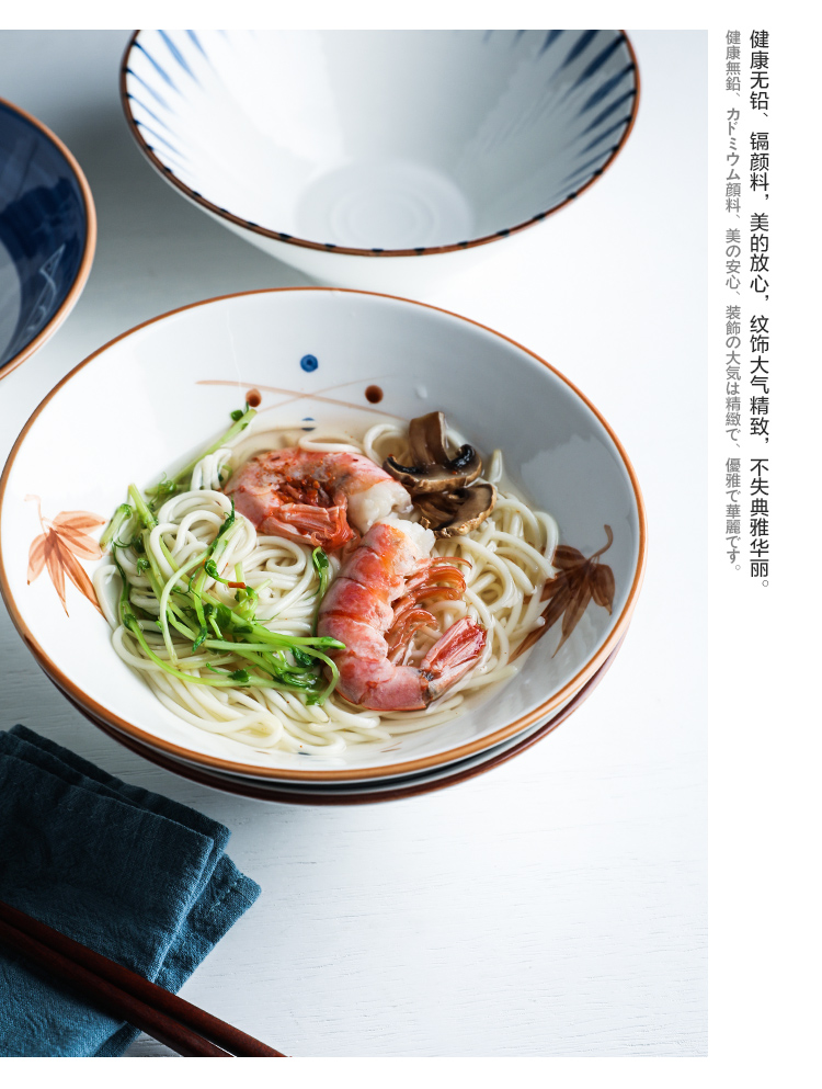 Shed in Japanese largest beef noodles in soup bowl of household ceramics rainbow such use pasta noodles rainbow such to use retro fruit salad bowl