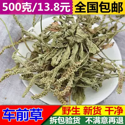 Bo Bai-New truck plantain 500g Wild plantain Fresh plantain Herbal medicine Beef tongue vegetable