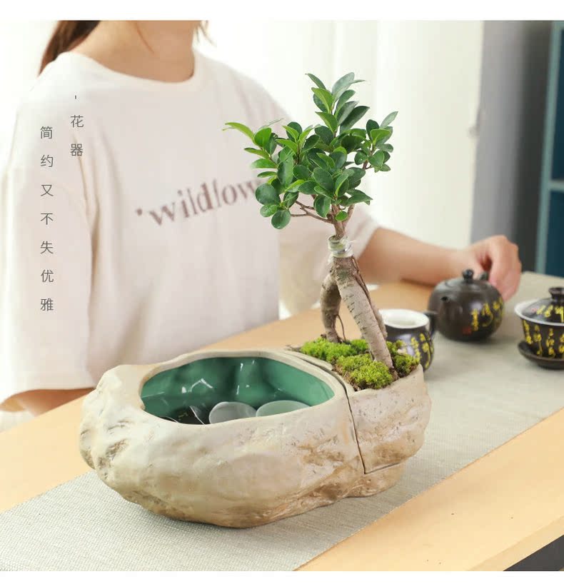 Restoring ancient ways of household coarse ceramic tea wash bowl imitation stone basin kung fu tea tea cups accessories asparagus potted plant