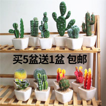 Computer desk small ornaments Nordic style computer side desk radiation protection succulent plant indoor simulation cactus ball