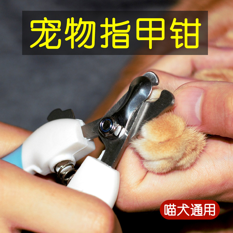 Pet Fingernail Cut Pooch Nail Clippers Nail Clippers Nail Clippers Nail Clippers Big Small Dogs Teddy Kitty nail clippers