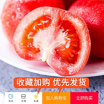 普罗旺斯西红柿新鲜自然熟生吃即食[10元优惠券]-寻折猪