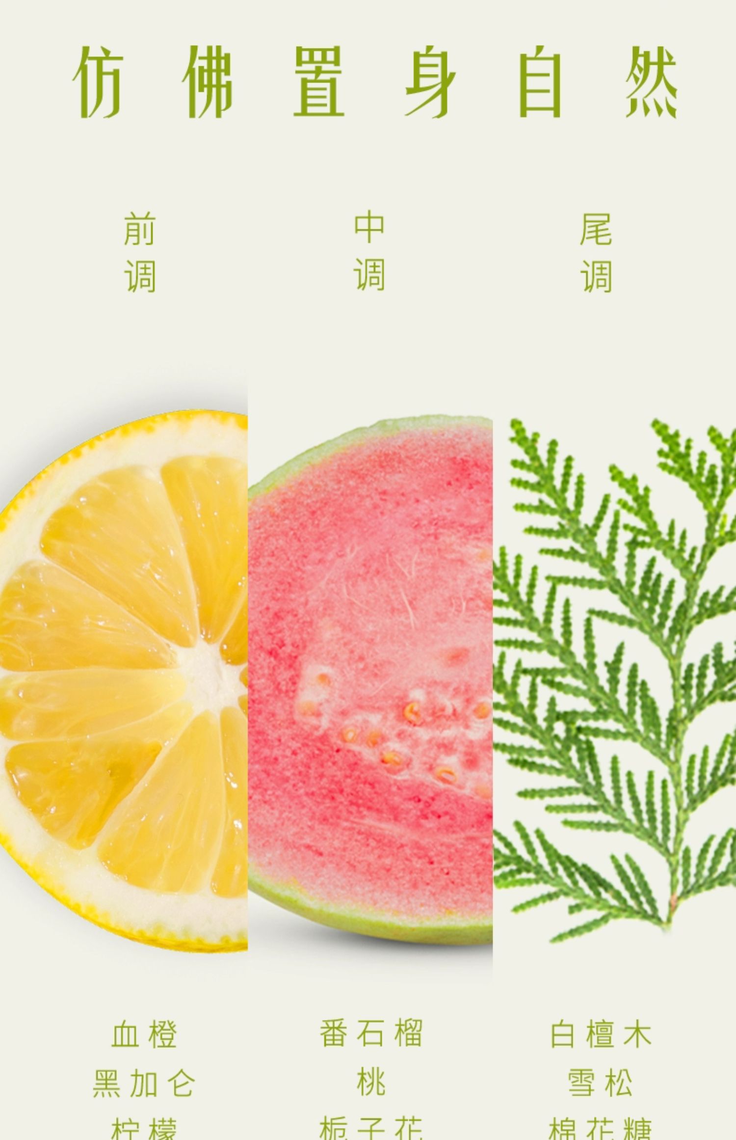 【单依纯同款 中国直邮】HAIR RECIPE发之食谱   无花果洗发水  去油蓬松  280ml