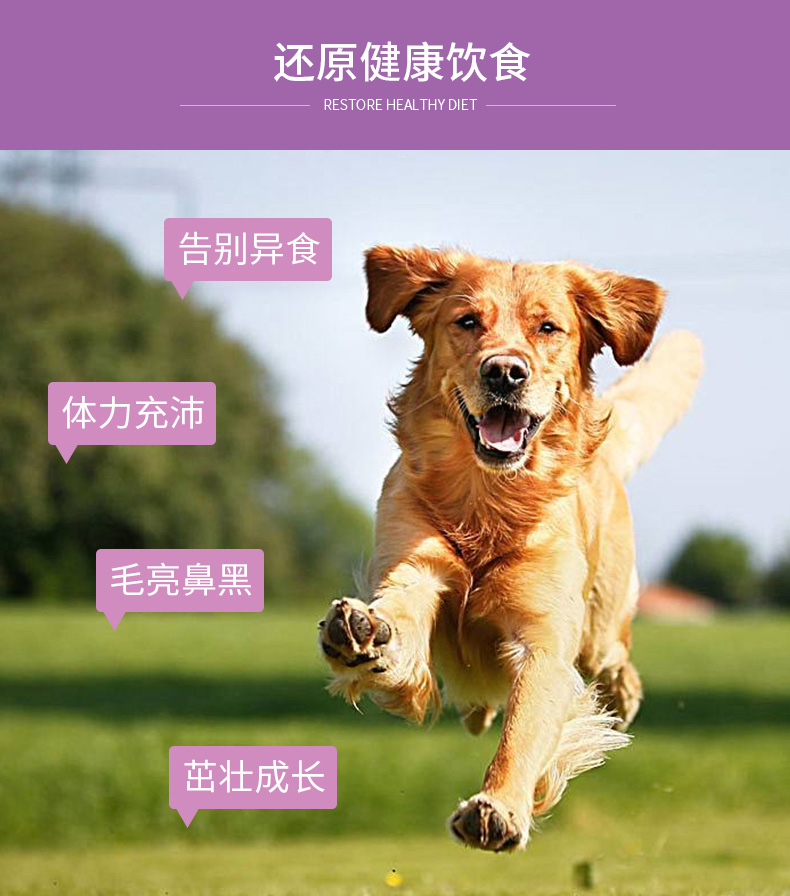 Gudeng dog vi nguyên tố viên 400 thú cưng Teddy Golden Retriever để ăn và tránh ăn cỏ để ăn bauxite - Cat / Dog Health bổ sung 	sữa cho mèo con 1 tháng tuổi