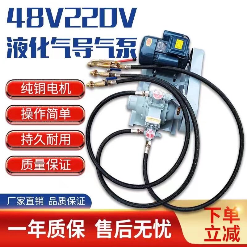Liquefied Gas Air Guide Air Pump 220 Volt 48V Pour Air Pump 12 Volt Car Small Air Pump Propane High Pressure Pump Liquefied Gas Air Guide Air Pump 220 Volt 48V Pour Air Pump 12 Volt Car Small Air Pump Propane High Pressure Pump