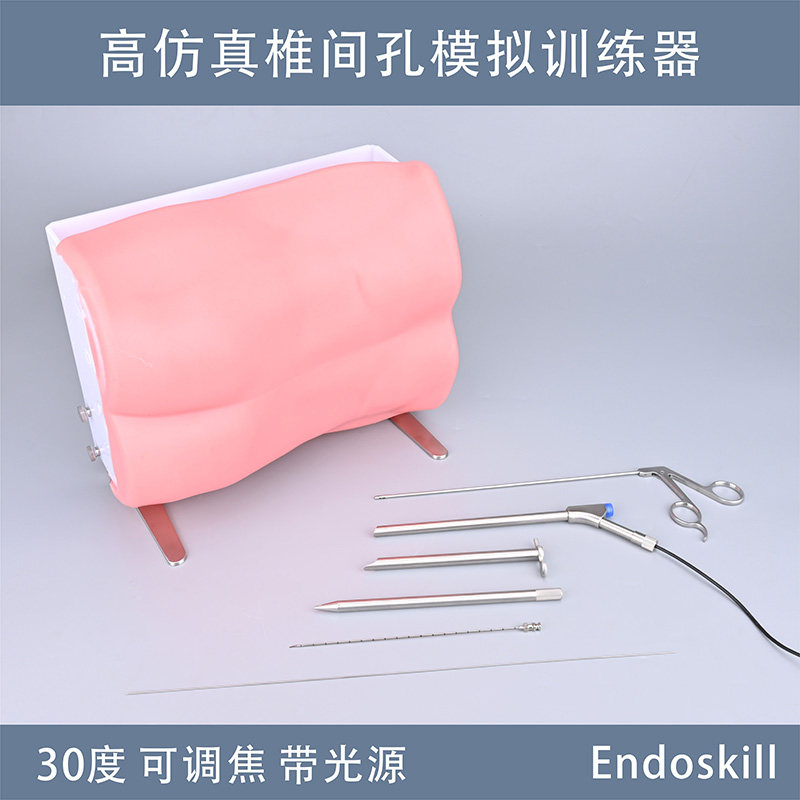 椎间孔模拟训练器可调焦椎间孔镜30度带器械 关节镜模拟训练器UBE
