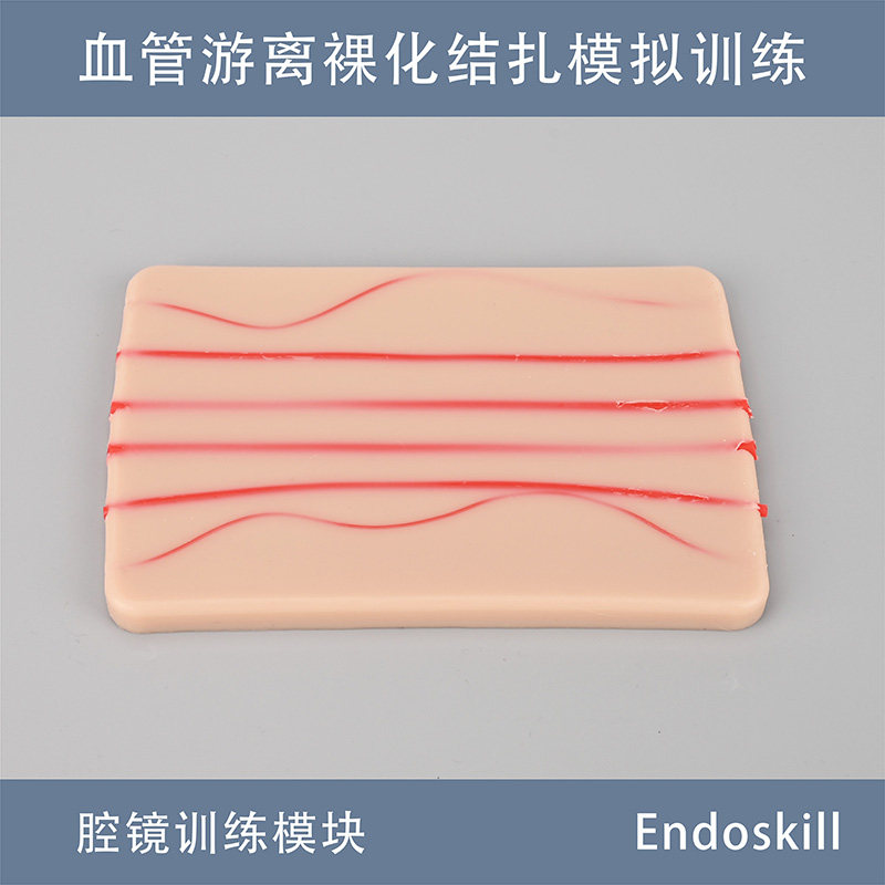 腹腔镜训练模块血管游离裸化结扎模拟训练模块