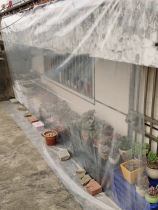 Warm and anti-plastic cloth wind-proof and heat-insulating shed for everyone cold-proof and frost-proof block paving waterproof and windproof shed greatly thickened