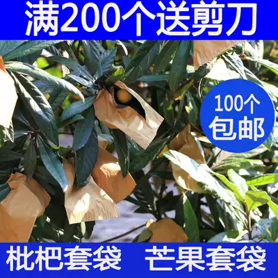 Loquat bagging special bag Loquat fruit bag cover Fruit bagging bird-proof and insect-proof bag Loquat bag Loquat bag cover