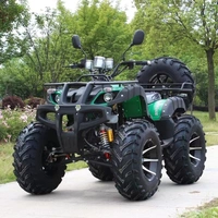 Đàn ông và phụ nữ 250CC ATV bốn bánh off-road kích thước nhà tăng gấp đôi xe địa hình - Xe đạp quad xe máy đồ chơi trẻ em