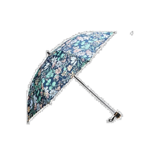 Korean direct mail DAKS MENS ACCESSORIES DBUM3E306N3 umbrella