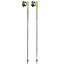 Hong Kong direct mail LEKI ski poles 65225751NERO