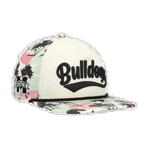 (Direct mail from the United States) new era pet hat