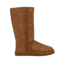 Hong Kong direct mail UGG womens boots 1016224CHE-6