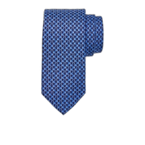 Hong Kong direct mail SALVATORE FERRAGAMO mens tie 350982773996