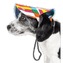 Pet Life Colorfur Floral UV Protective Adjustable Fashion Dog Hat (USA