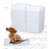 (Direct mail from Japan) IRIS OHYAMA pet changing pad ES-800E 200 pieces × 4 bags