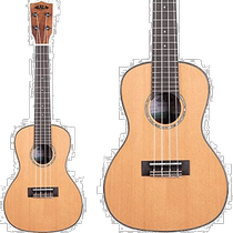 Japan direct mail (Japan direct mail) KALA ukulele glossy veneer cedar panel music