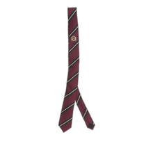 Hong Kong direct mail CELINE mens tie 2AV09A28427BG