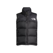 (Direct mail from the United States) the north face womens vest