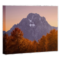 deny designsNature Magick Aspen Autumn at Oxbow Bend Art Can