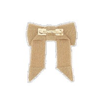 Hong Kong direct mail trendy luxury ROGER VIVIER Roger Vivier womens bow buckle design hair