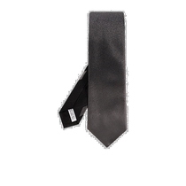 Hong Kong direct mail SALVATORE FERRAGAMO mens tie 350954769413