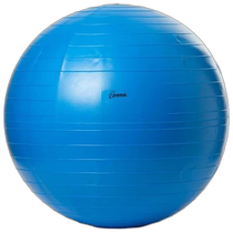 Japan direct mail TOEILIGHT mens and womens body ball balance ball diameter 65 cm yoga sports fitness H