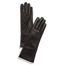 Hong Kong direct mail trendy luxury Agnelle womens Christina gloves AGNEL30034