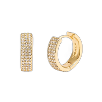 (Direct mail from the United States) coach universal earrings