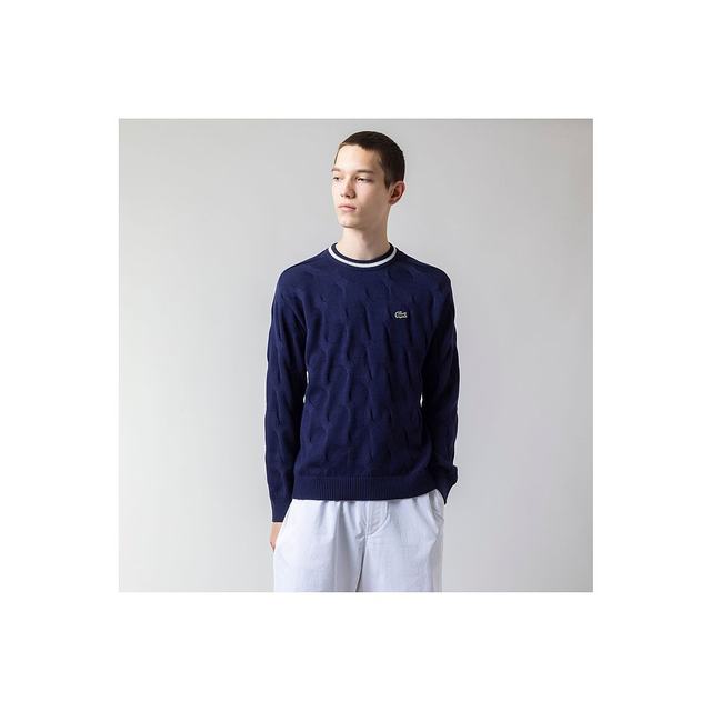 ແຟຊັ່ນລາຍວັນ LACOSTE ແຂ້ຝລັ່ງ crocodile hemp pattern knitted sweater navy blue 272978646