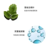 Clarins, увлажняющий прозрачный крем, 50 мл