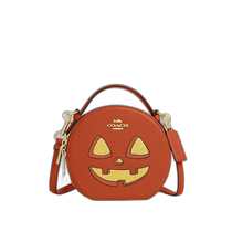 US Direct Mail COACH Halloween Cat Crossbody Bag CW467 Gold Dark Orange