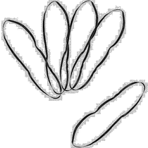 (Direct mail from Japan) Sk11 Fujiwara Industrial Rubber Band Ring 5 pieces width 18mm SKG-E1860A