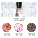 Burberry, цветочные духи, доставка напрямую из США, 100 мл