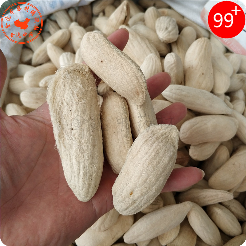 Guangxi Chinese herbal medicine mango pit 1000g Sulfur-free mango seeds Dried mango pit Mango seeds 2 catties