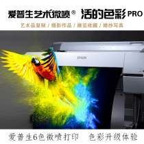 Epson art micro-spray photo printing development Photo 5 inch 6 inch photo photography high definition inkjet